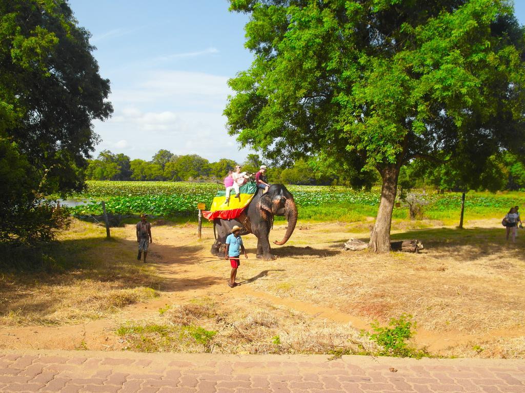 Sigiri Lakshan Home Stay Sigiriya Exterior photo